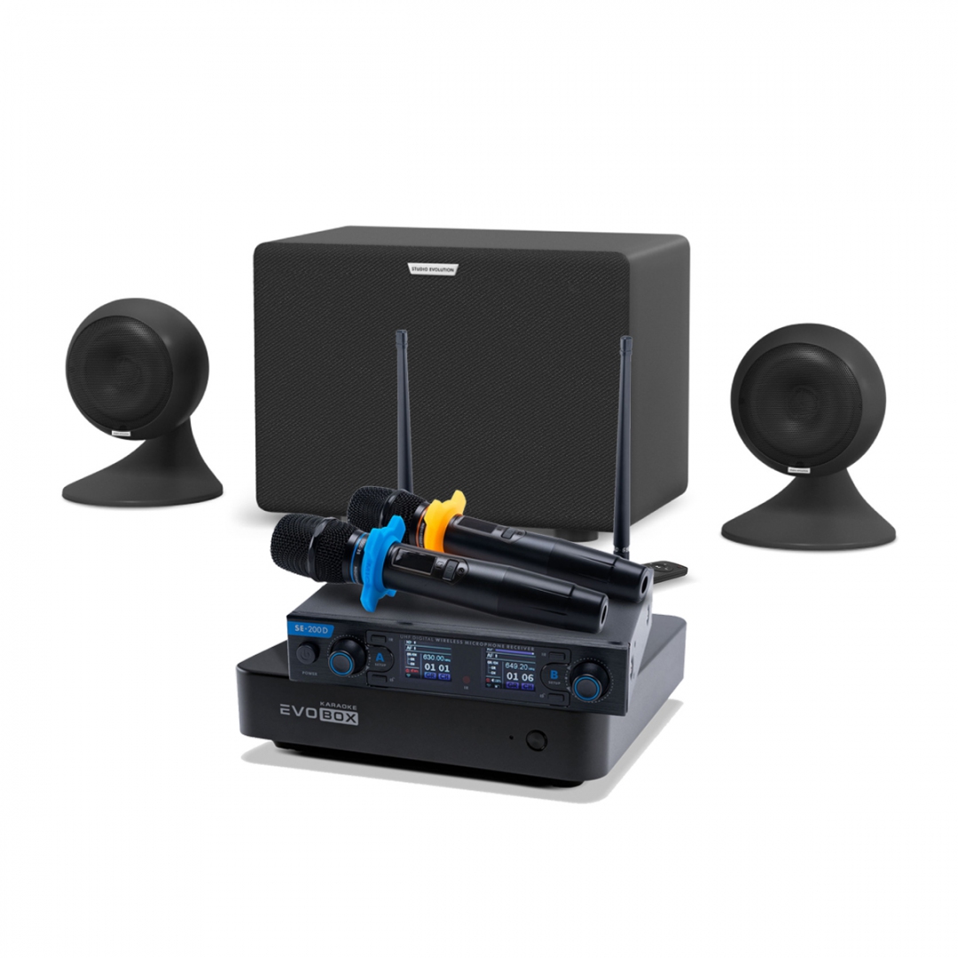 караоке-комплект EVOBOX + EvoSound Sphere 2.1 в Перми