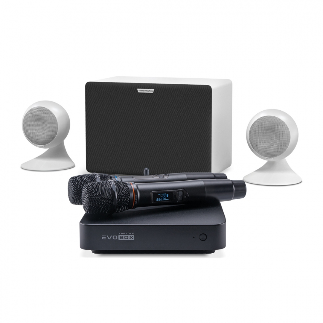 караоке-комплект EVOBOX Classic + EvoSound Sphere 2.1 в Перми