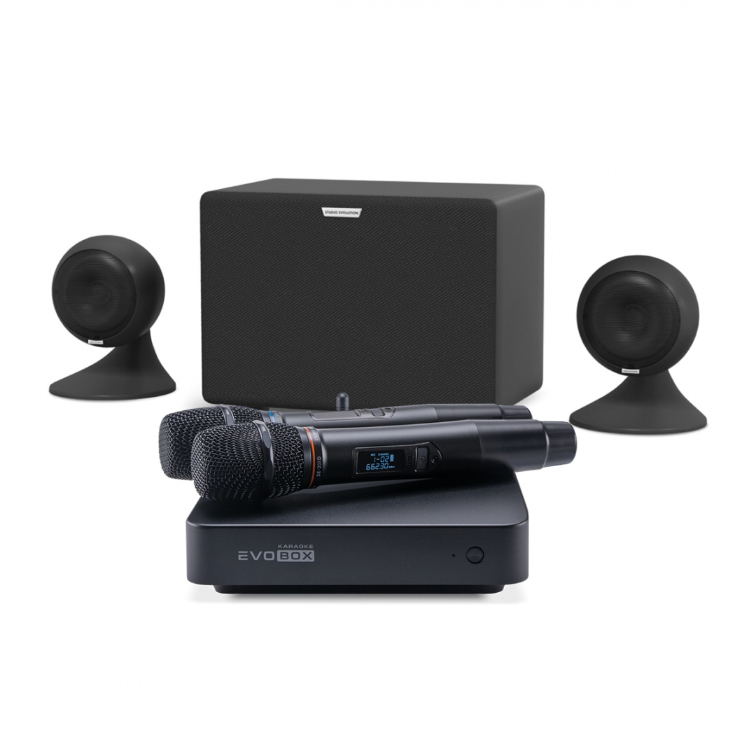 караоке-комплект EVOBOX Plus + EvoSound Sphere 2.1 в Перми