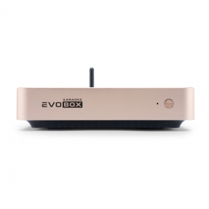 EVOBOX Plus караоке-система для дома в Перми