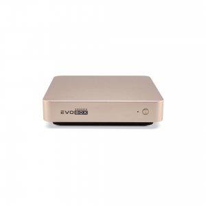 EVOBOX с микрофонами в Перми